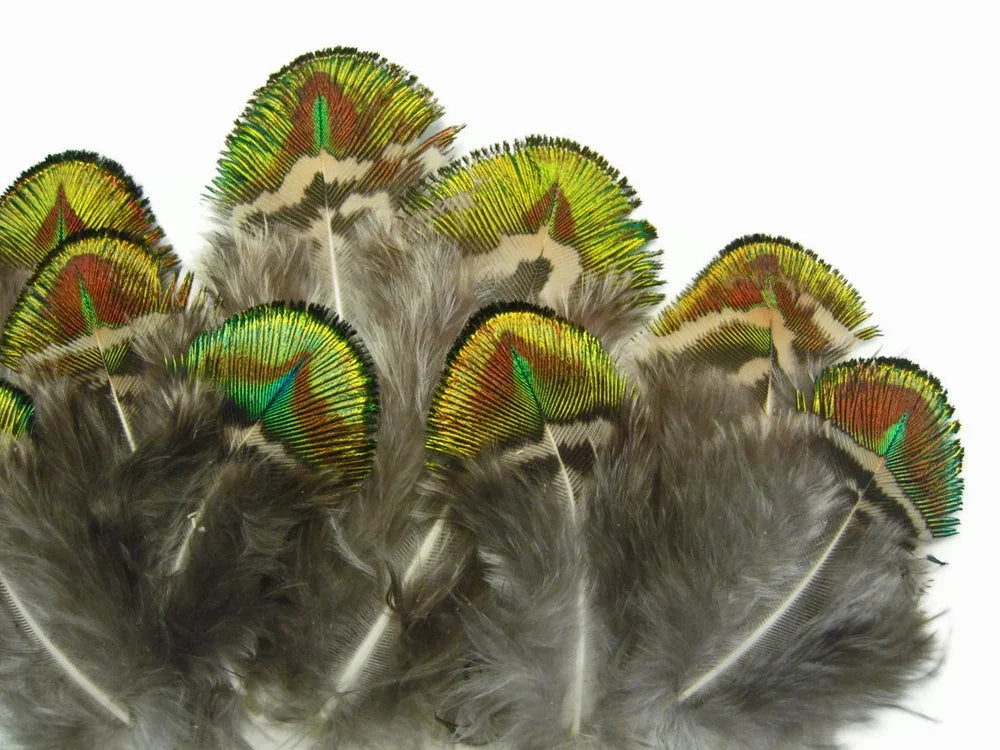 10 Pieces - Iridescent Green Peacock Plumage Loose Feathers