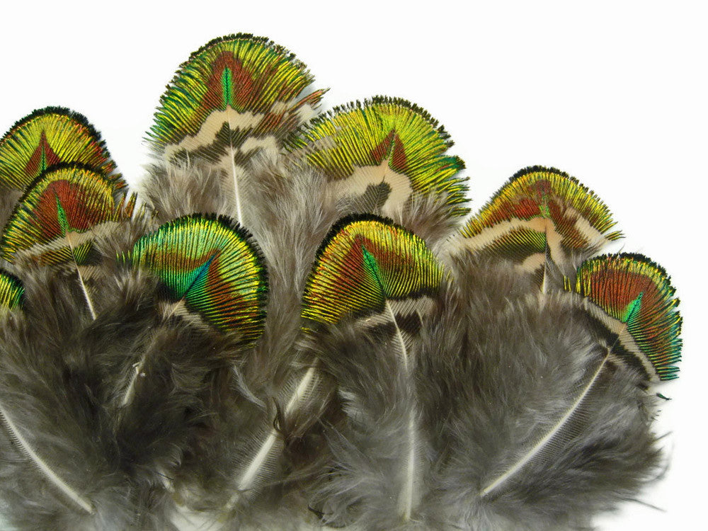 10 Pieces - Iridescent Green Gold Peacock Plumage Loose Feather