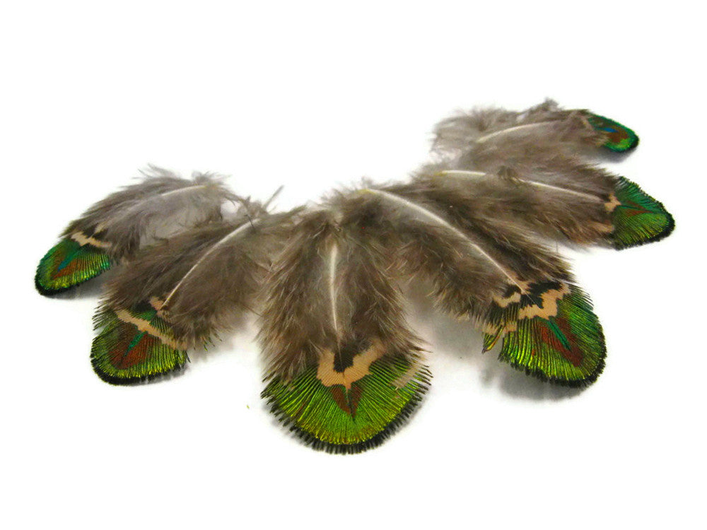 10 Pieces - Iridescent Green Gold Peacock Plumage Loose Feather