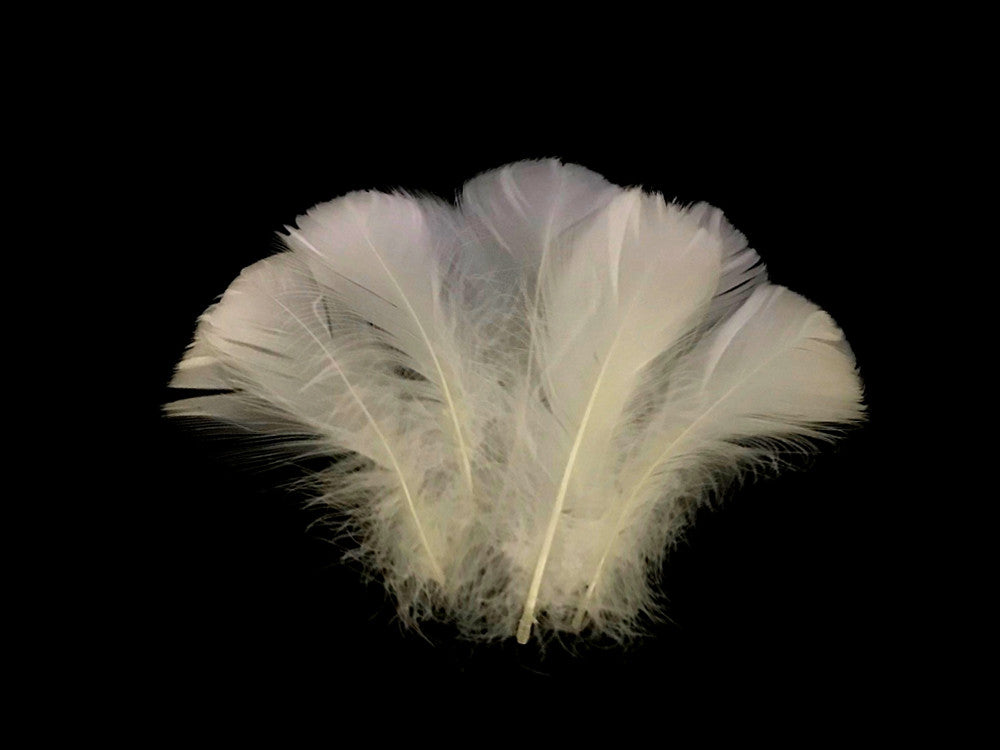 1 Pack - 2-3" Ivory Goose Coquille Loose Feathers - 0.35 Oz.