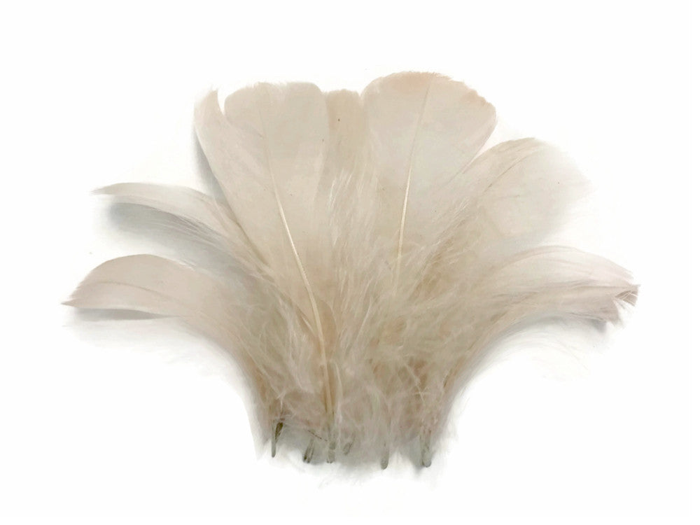 1 Pack - 2-3" Ivory Goose Coquille Loose Feathers - 0.35 Oz.