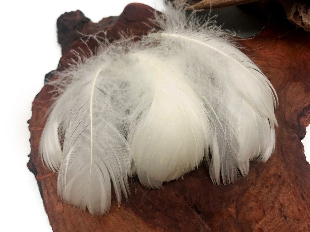 1/4 Lb - 2-3" Ivory Goose Coquille Loose Wholesale Feathers (Bulk)