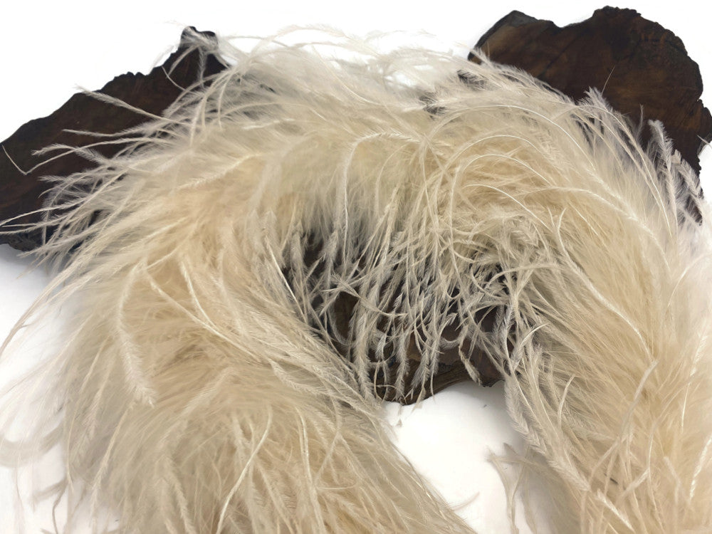 2 Yards - Ivory 3 Ply Ostrich Medium Weight Fluffy Feather Boa