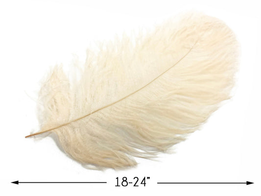 10 Pieces - 18-24" Cream Large Prime Grade Ostrich Wing Plume Centerpiece Feathers