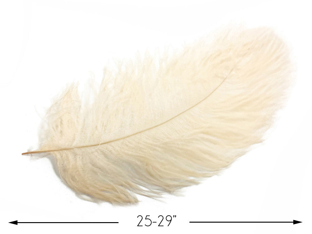 1/2 Lb. - 25-29" Cream Large Ostrich Wing Plume Wholesale Feathers (Bulk)