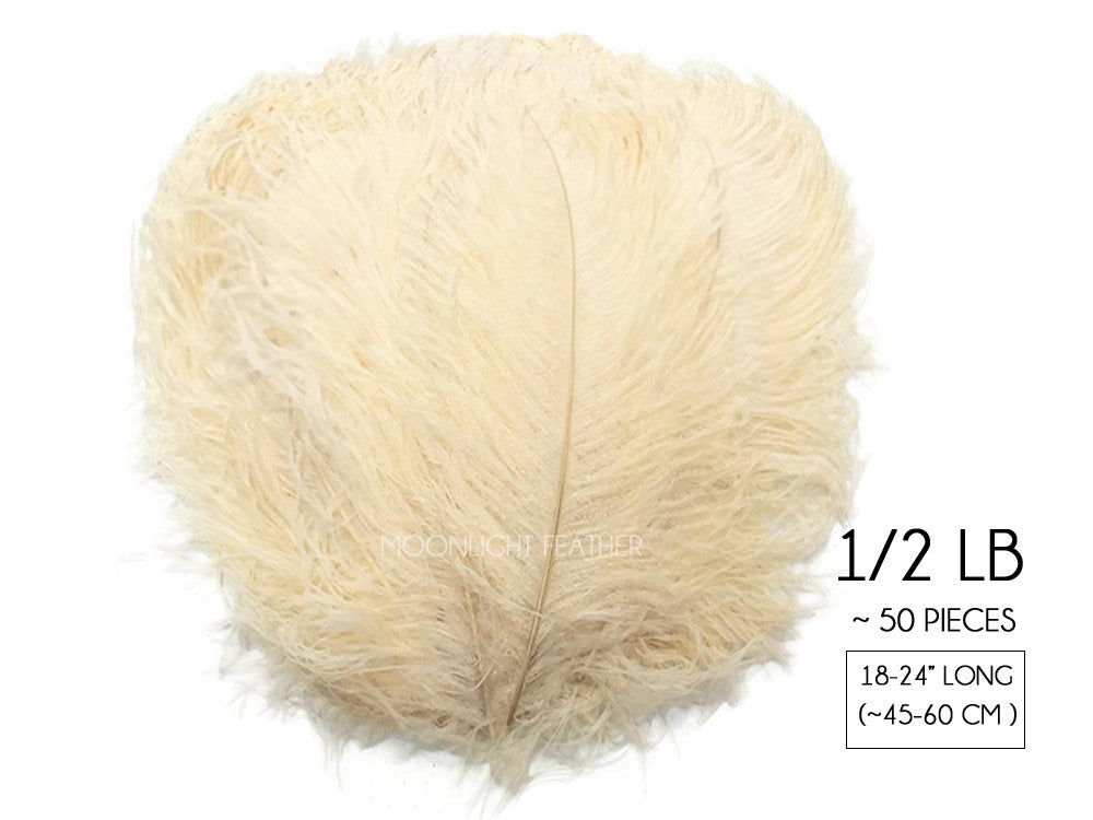 1/2 Lb. - 18-24" Cream Large Ostrich Wing Plume Wholesale Feathers (Bulk)