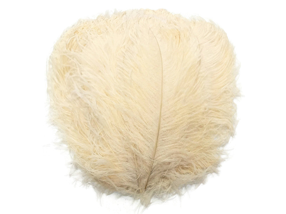 10 Pieces - 18-24" Cream Large Prime Grade Ostrich Wing Plume Centerpiece Feathers