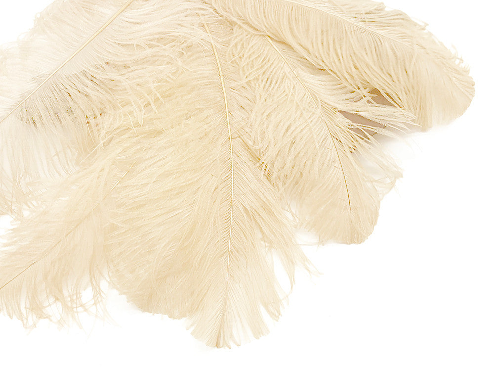 10 Pieces - 18-24" Cream Large Prime Grade Ostrich Wing Plume Centerpiece Feathers