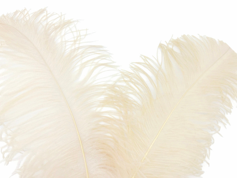 10 Pieces - 18-24" Cream Large Prime Grade Ostrich Wing Plume Centerpiece Feathers