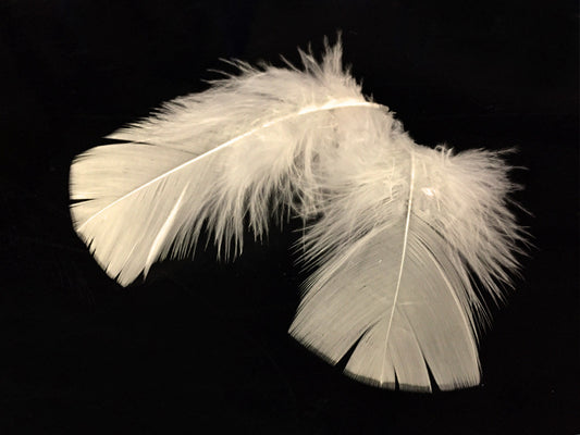 1 Pack - Ivory Dyed Turkey T-Base triangle Body Plumage Feathers 0.50 Oz.