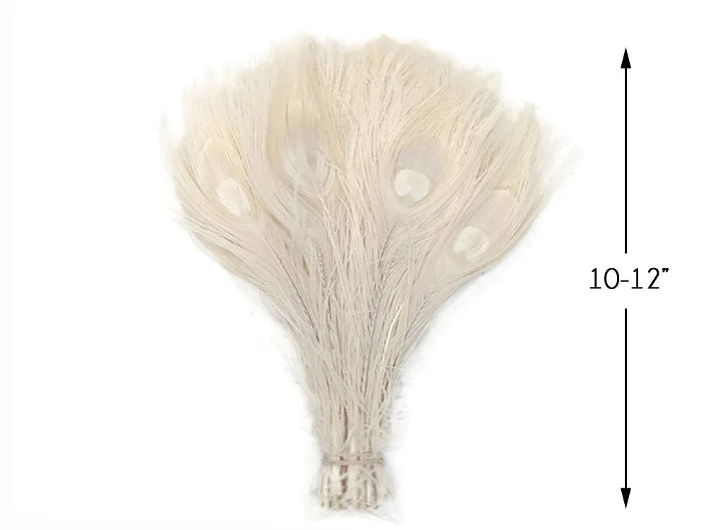 10-12 inch bundle of white peacock feathers for crafts and decor