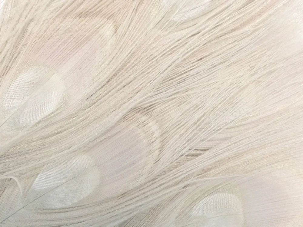 Soft cream and beige feathers for DIY crafts and fashion decor.