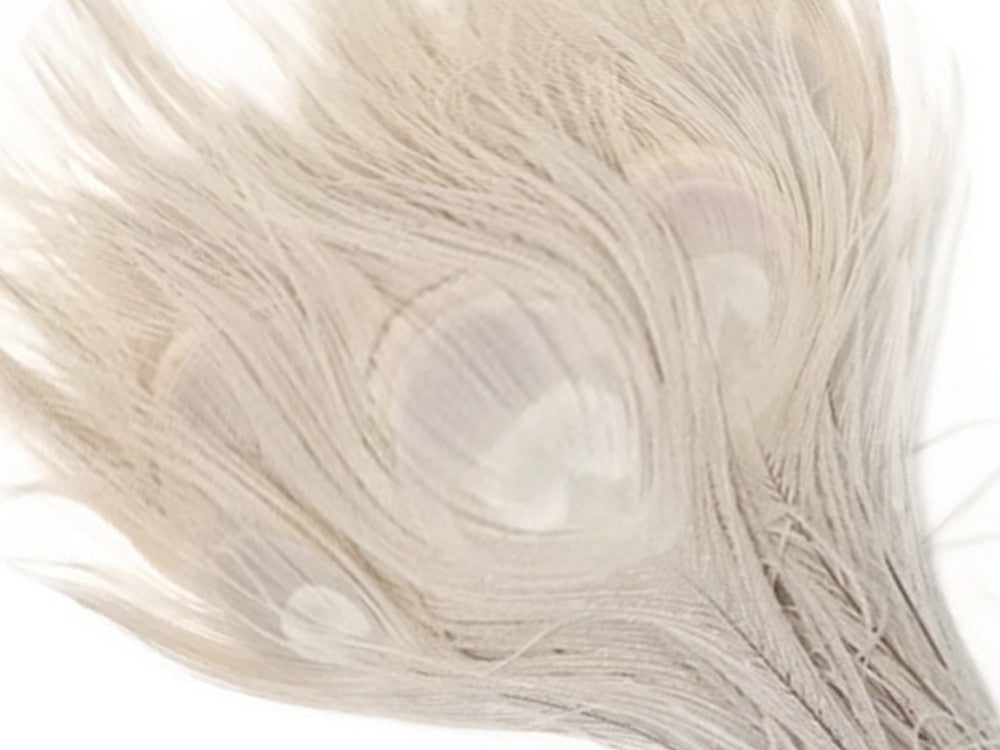 100 Pieces - Ivory Bleached Peacock Tail Eye Wholesale Feathers 10-12" Long (Bulk)