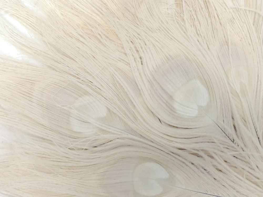 50 Pieces - 30-35" Bleached Ivory Peacock Tail Eye Wholesale Feathers (Bulk)