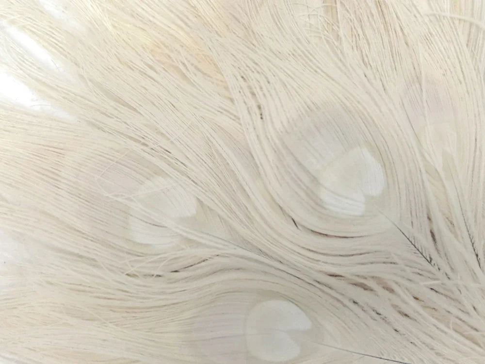 Close-up of soft white peacock feathers for crafts and fashion decor.