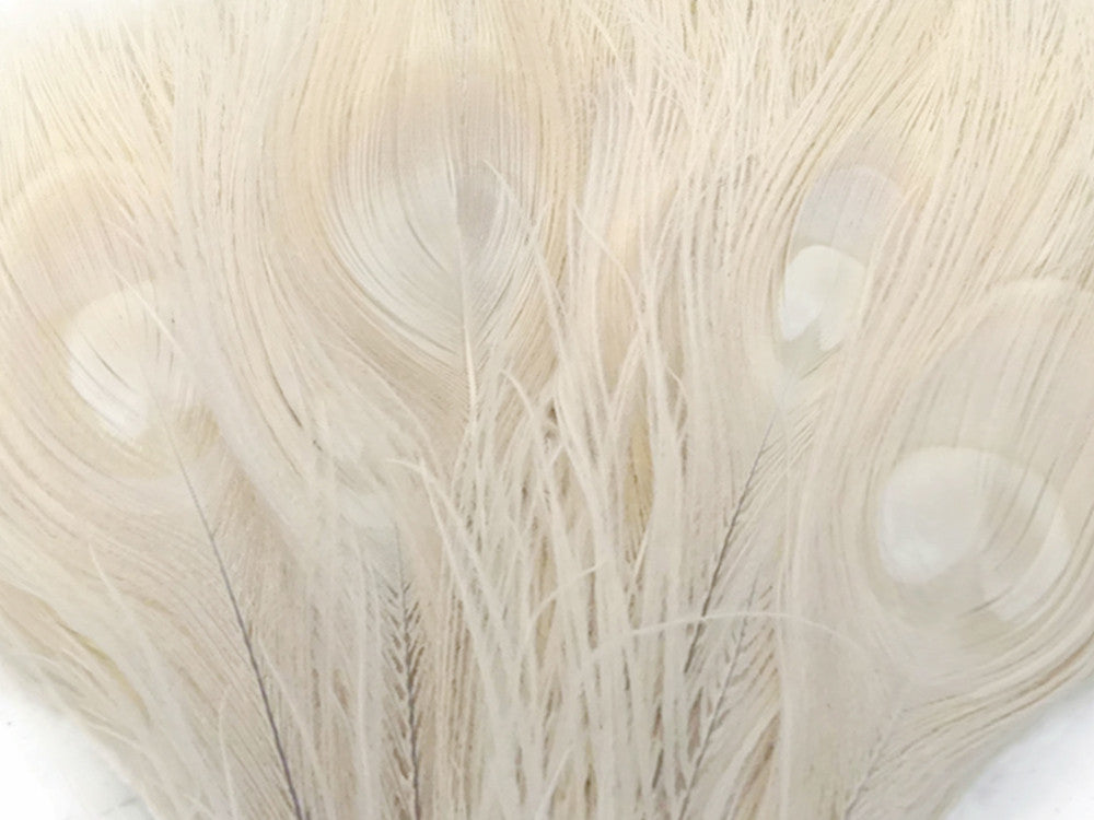 50 Pieces - 30-35" Bleached Ivory Peacock Tail Eye Wholesale Feathers (Bulk)