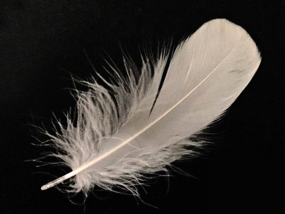 1 Pack - Ivory Goose Nagoire Loose Feather - 0.25 Oz.