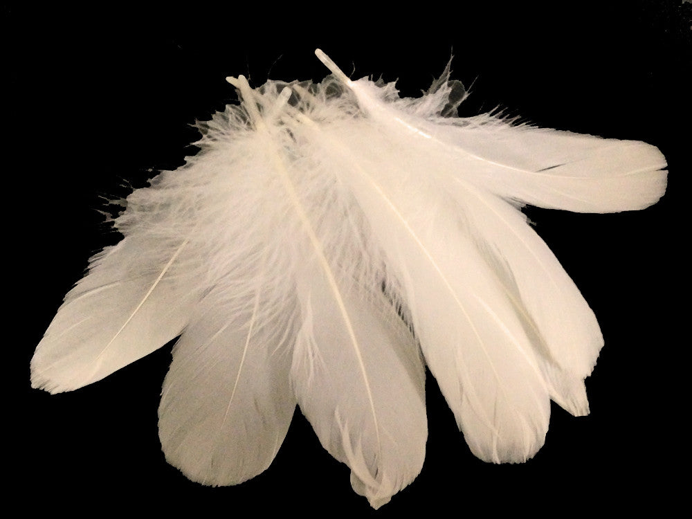 1/4 Lb - Ivory Goose Nagoire Wholesale Feathers (Bulk)