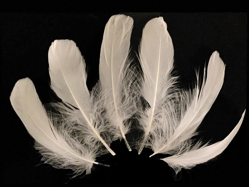 1 Pack - Ivory Goose Nagoire Loose Feather - 0.25 Oz.