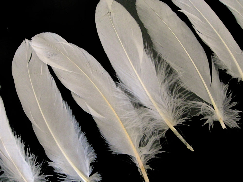 1/4 lbs. - Ivory Goose Satinettes Pallet Soft Wing Quill Wholesale Feathers (Bulk)