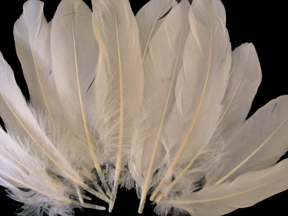 1 Pack - Ivory Goose Satinettes Loose Feathers 0.3 Oz.