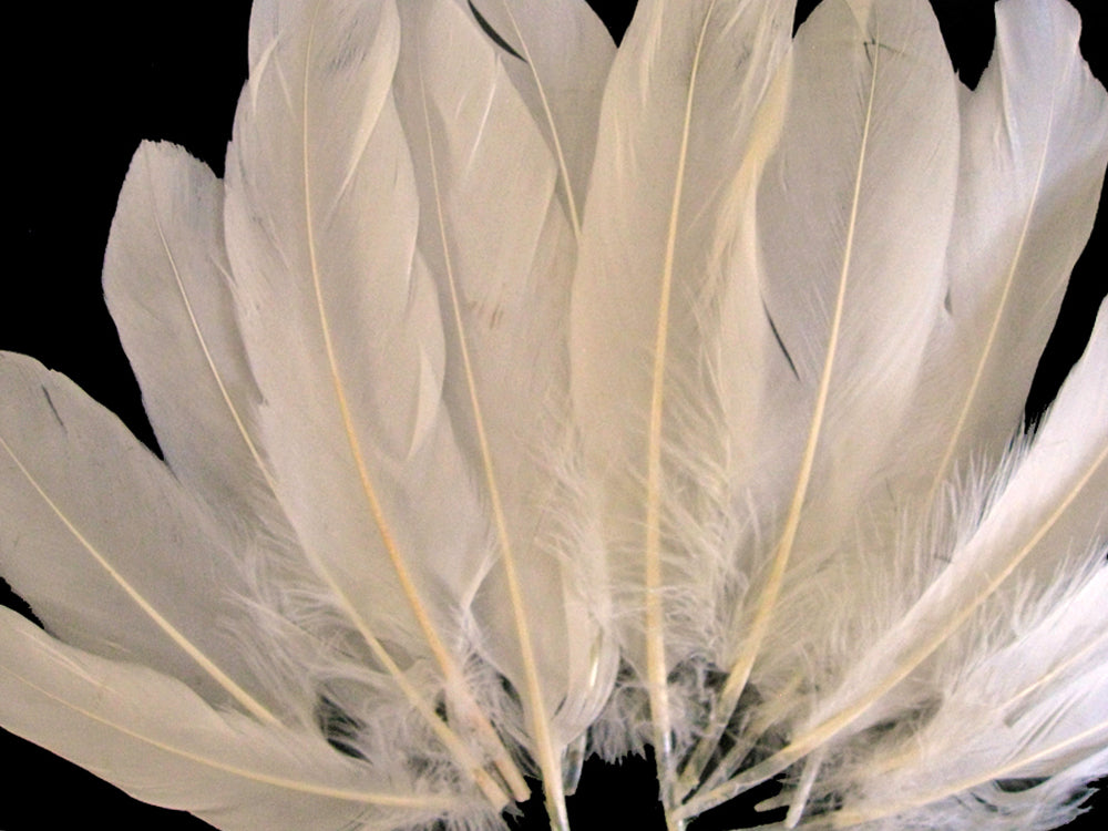 1 Pack - Ivory Goose Satinettes Pallet Soft Wing Quill Loose Feathers - 0.3 Oz