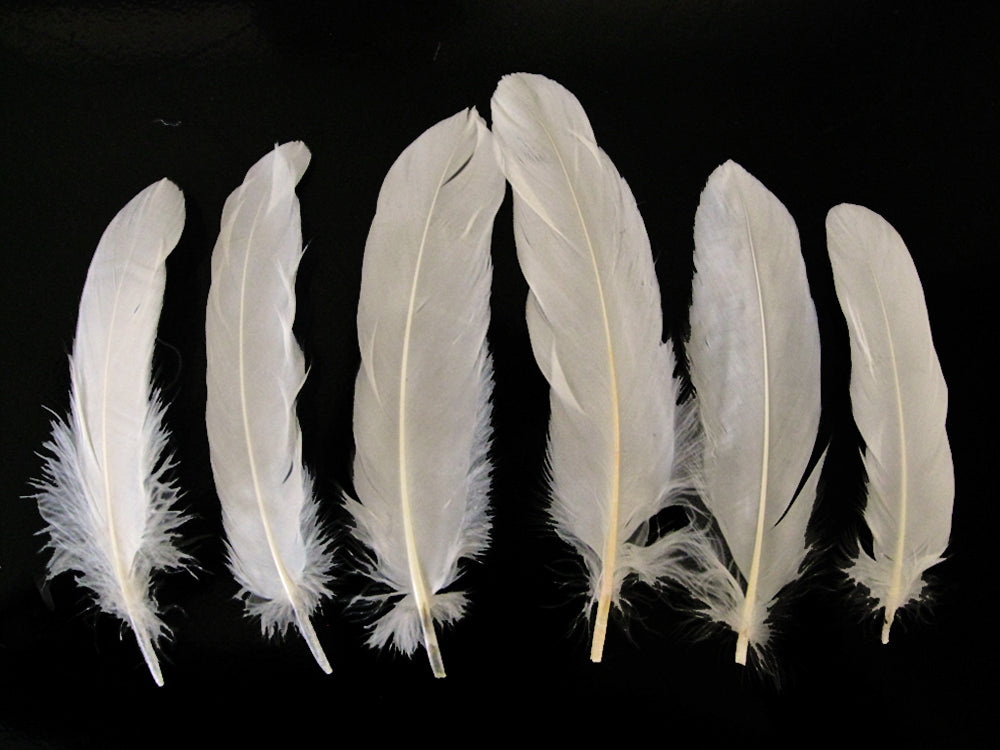 1/4 lbs. - Ivory Goose Satinettes Pallet Soft Wing Quill Wholesale Feathers (Bulk)