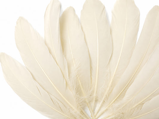 1/4 lbs. - Ivory Goose Satinettes Pallet Soft Wing Quill Wholesale Feathers (Bulk)