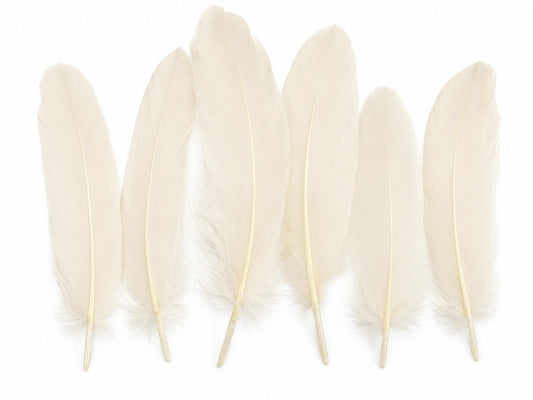 1 Pack - Ivory Goose Satinettes Pallet Soft Wing Quill Loose Feathers - 0.3 Oz