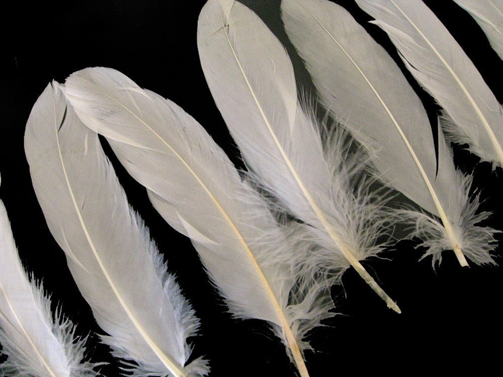 1/4 Lb - Ivory Goose Satinettes Wholesale Loose Feathers (Bulk)