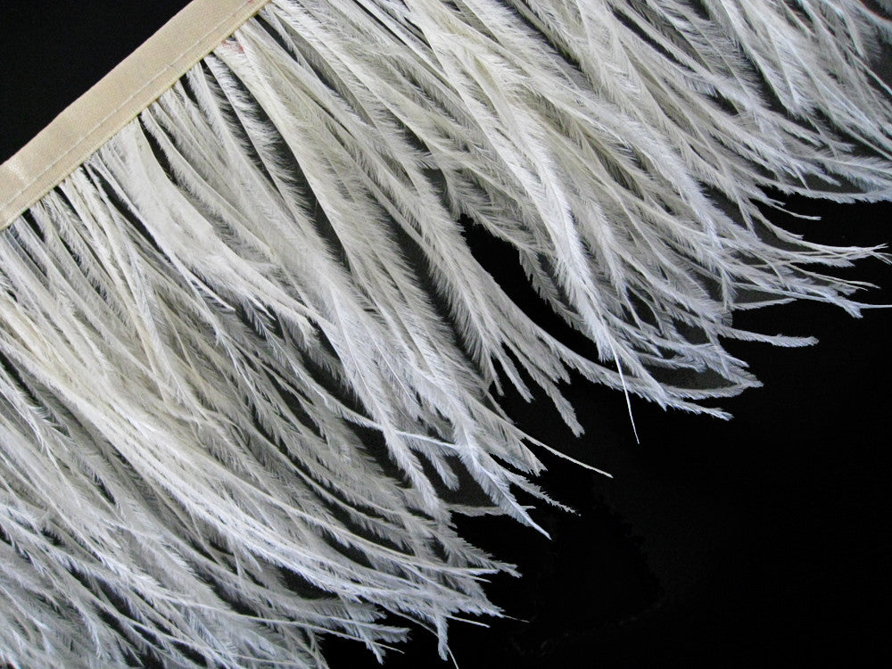 10 Yards - Ivory Ostrich Fringe Trim Wholesale Feather (Bulk)