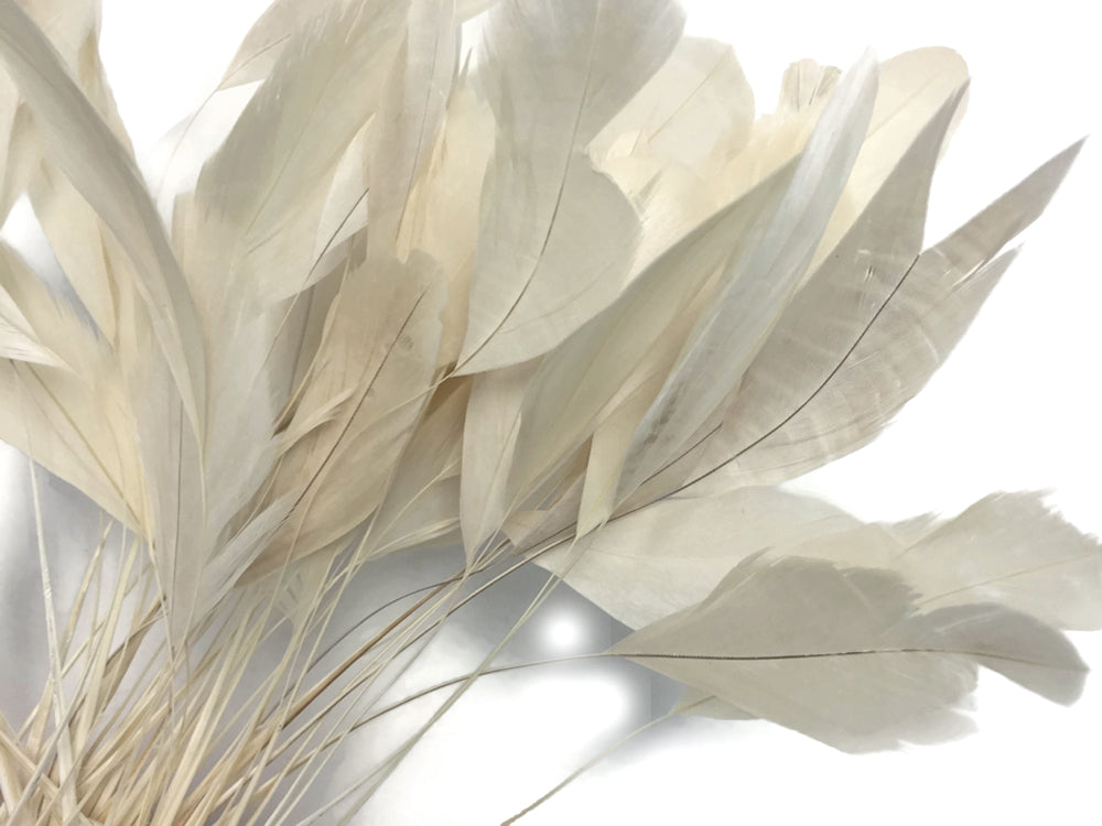 1 Dozen - Ivory Stripped Rooster Coque Tail Feathers