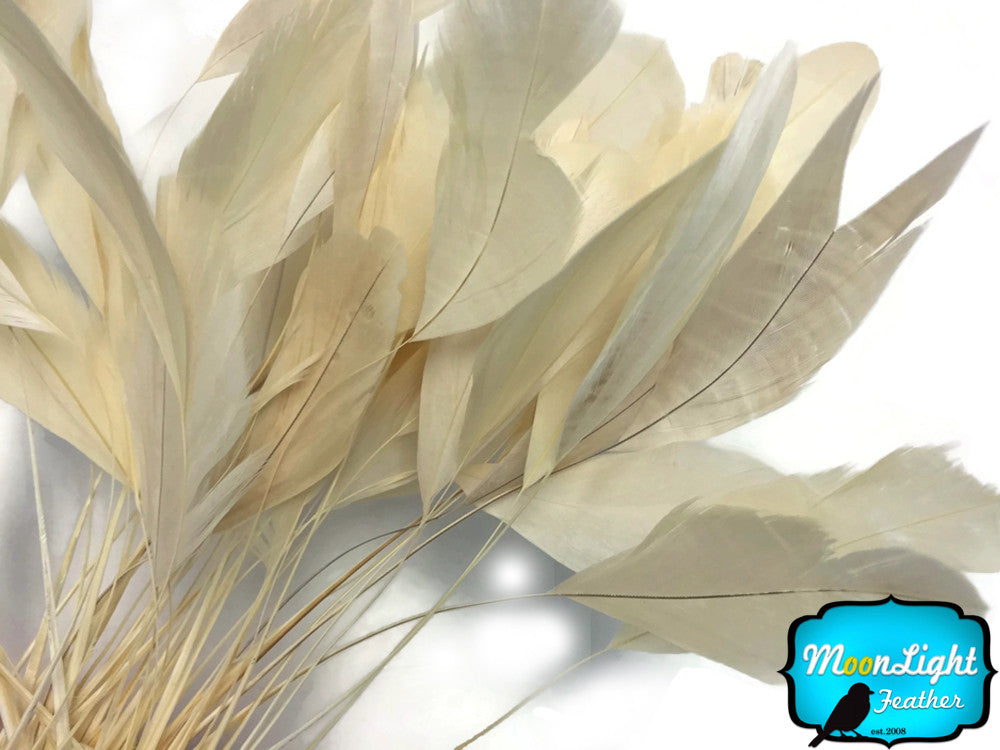 1 Yard - Ivory Stripped Coque Tail Feathers Wholesale Trim (Bulk)