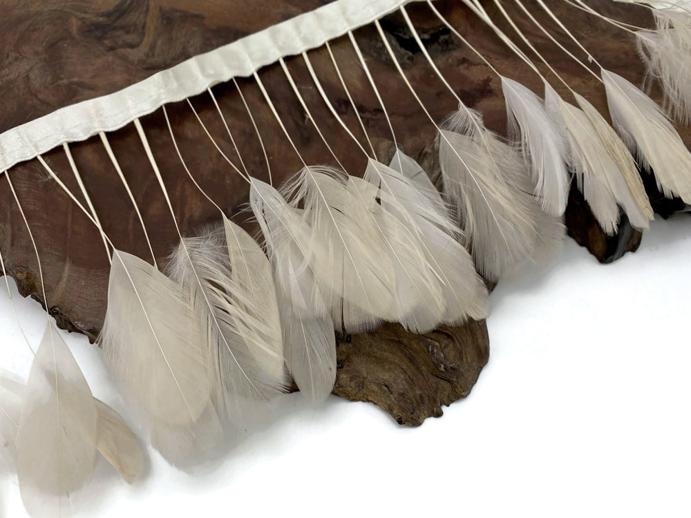 1 Dozen - Ivory Stripped Rooster Coque Tail Feathers