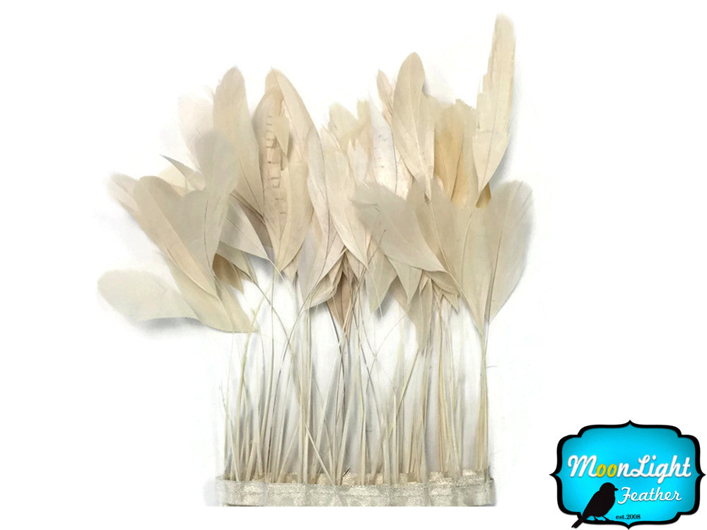 1 Dozen - Ivory Stripped Rooster Coque Tail Feathers