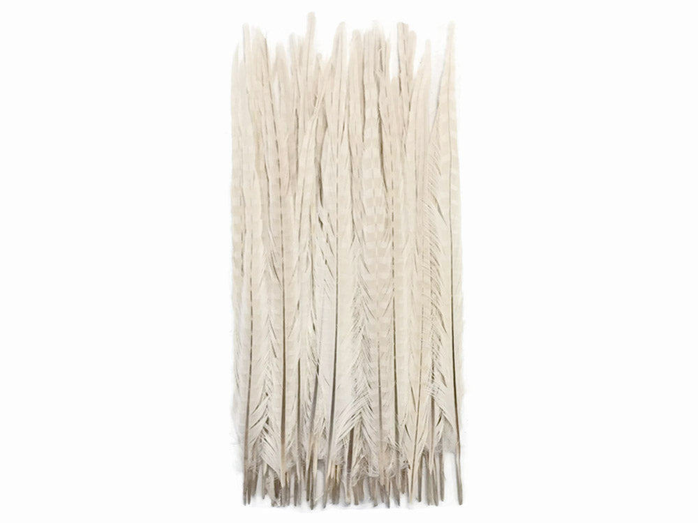 10 Pieces - 18-22" Ivory Bleached and Dyed Long Ringneck Pheasant Tail Feathers