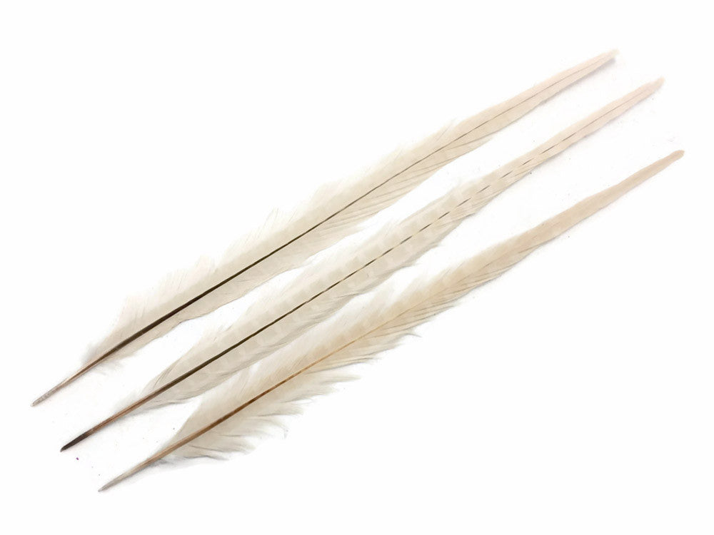 50 Pieces - 18-22" Ivory Bleached & Dyed Long Ringneck Pheasant Tail Wholesale Feathers (Bulk)