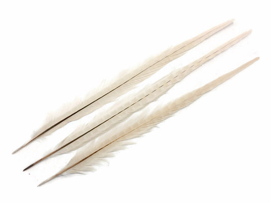 10 Pieces - 18-22" Ivory Bleached and Dyed Long Ringneck Pheasant Tail Feathers