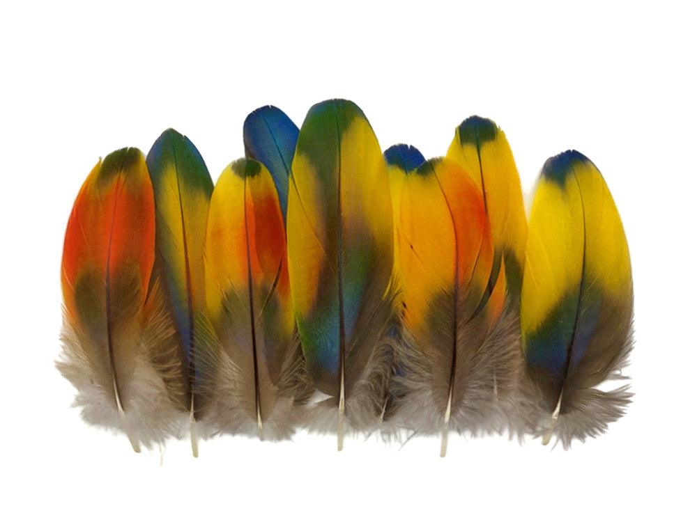 4 Pieces - Jewel Multicolor Iridescent Scarlet Macaw Large Body Plumage Feathers