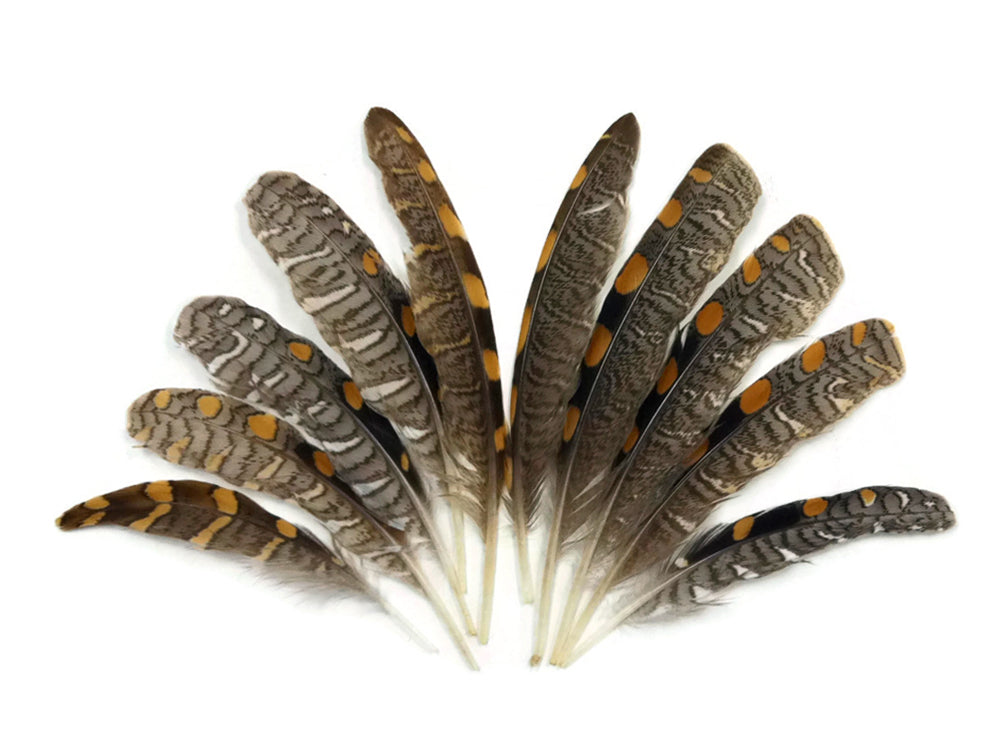 10 Pieces -  Natural Gold Polka Dot Jungle Cock Small Wing Feathers