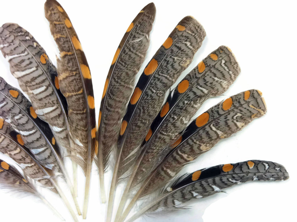 10 Pieces -  Natural Gold Polka Dot Jungle Cock Small Wing Feathers