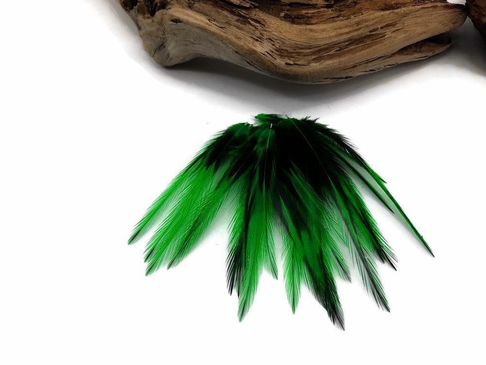 10 Pieces - Kelly Green Dyed BLW Laced Short Rooster Cape Whiting Farms Feathers