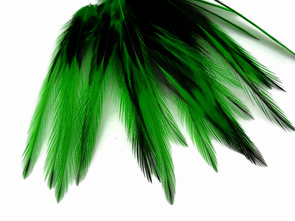 10 Pieces - Kelly Green Dyed BLW Laced Short Rooster Cape Whiting Farms Feathers