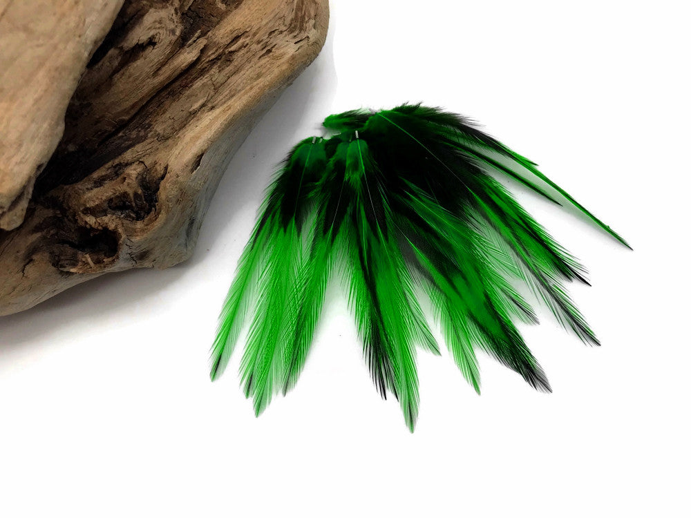 10 Pieces - Kelly Green Dyed BLW Laced Short Rooster Cape Whiting Farms Feathers