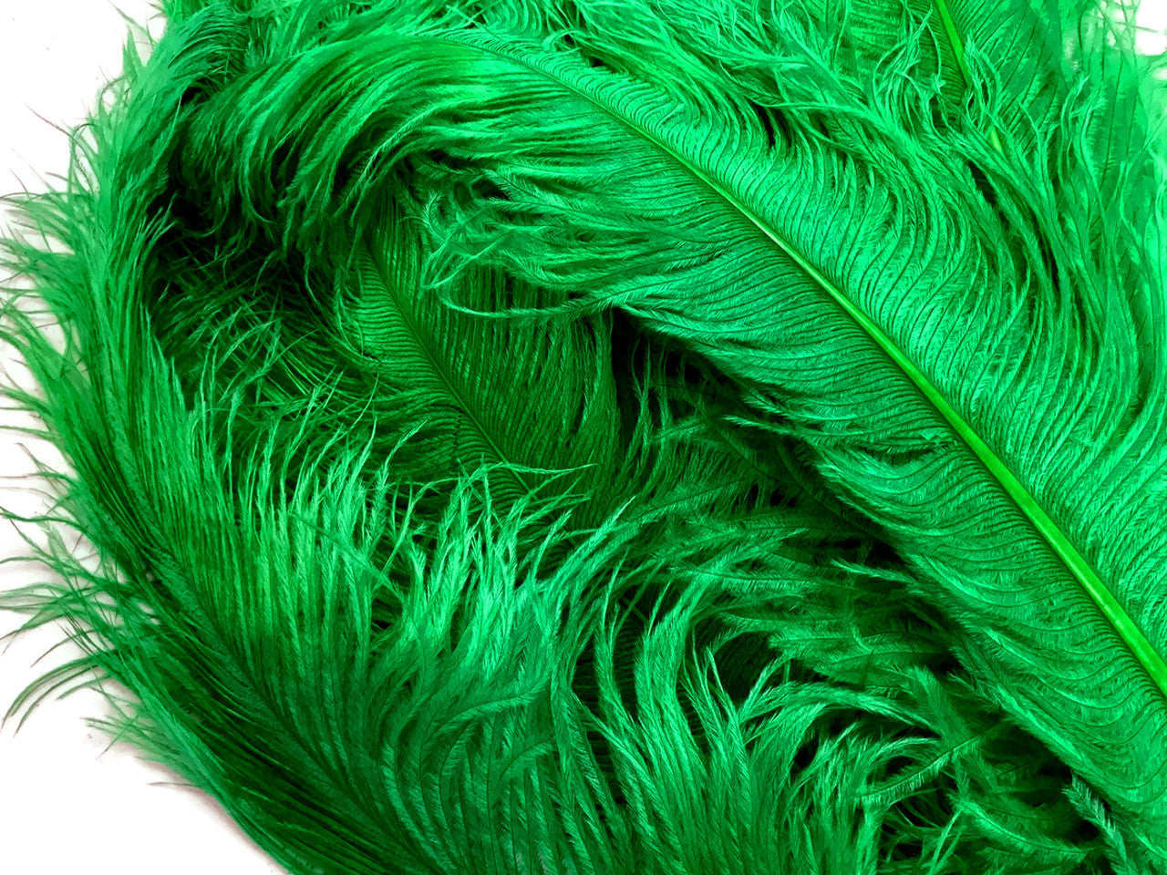 1/2 Lb. - 25-29" Kelly Green Large Ostrich Wing Plume Wholesale Feathers (Bulk)