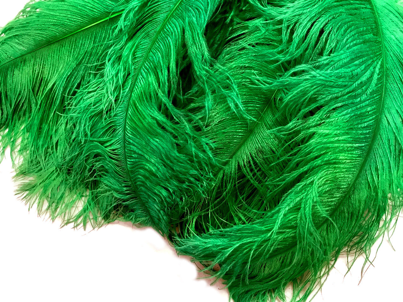 1/2 Lb. - 25-29" Kelly Green Large Ostrich Wing Plume Wholesale Feathers (Bulk)