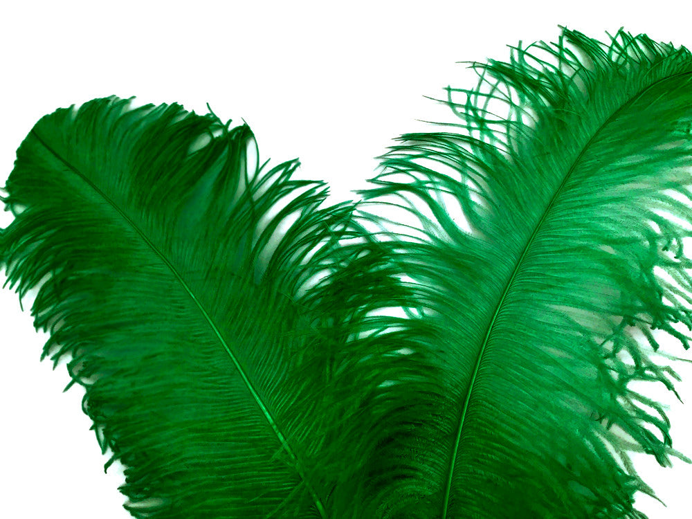 1/2 Lb. - 25-29" Kelly Green Large Ostrich Wing Plume Wholesale Feathers (Bulk)