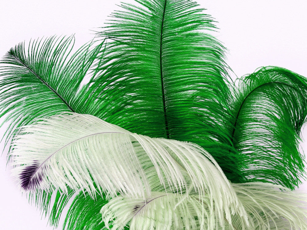 1/2 Lb. - 25-29" Kelly Green Large Ostrich Wing Plume Wholesale Feathers (Bulk)
