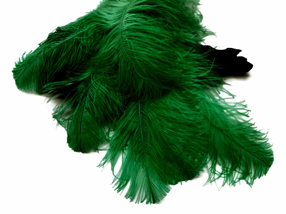 10 Pieces - 18-24" Kelly Green Large Prime Grade Ostrich Wing Plume Centerpiece Feathers