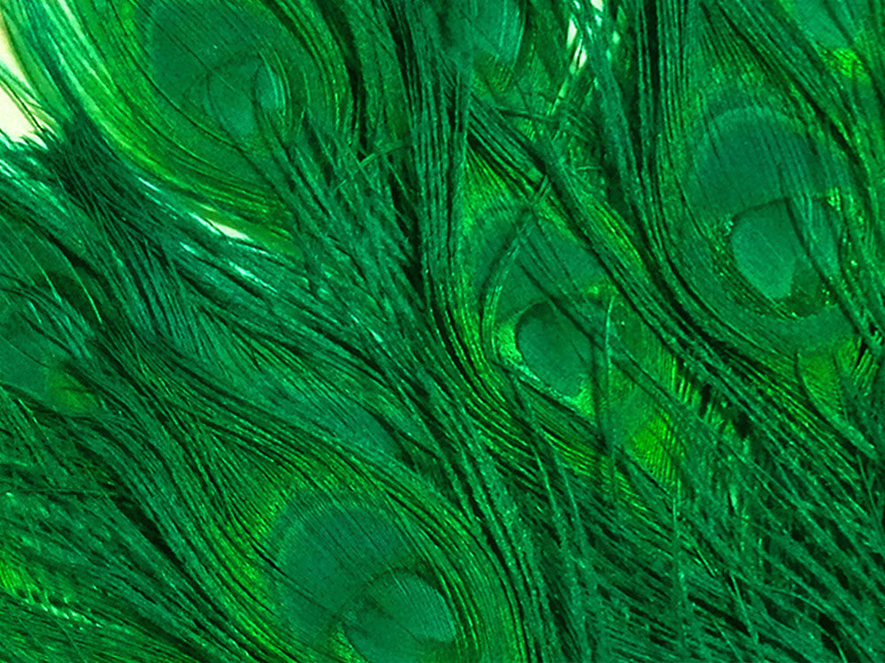 50 Pieces – Kelly Green Bleached & Dyed Peacock Tail Eye Wholesale Feathers (Bulk) 10-12” Long 